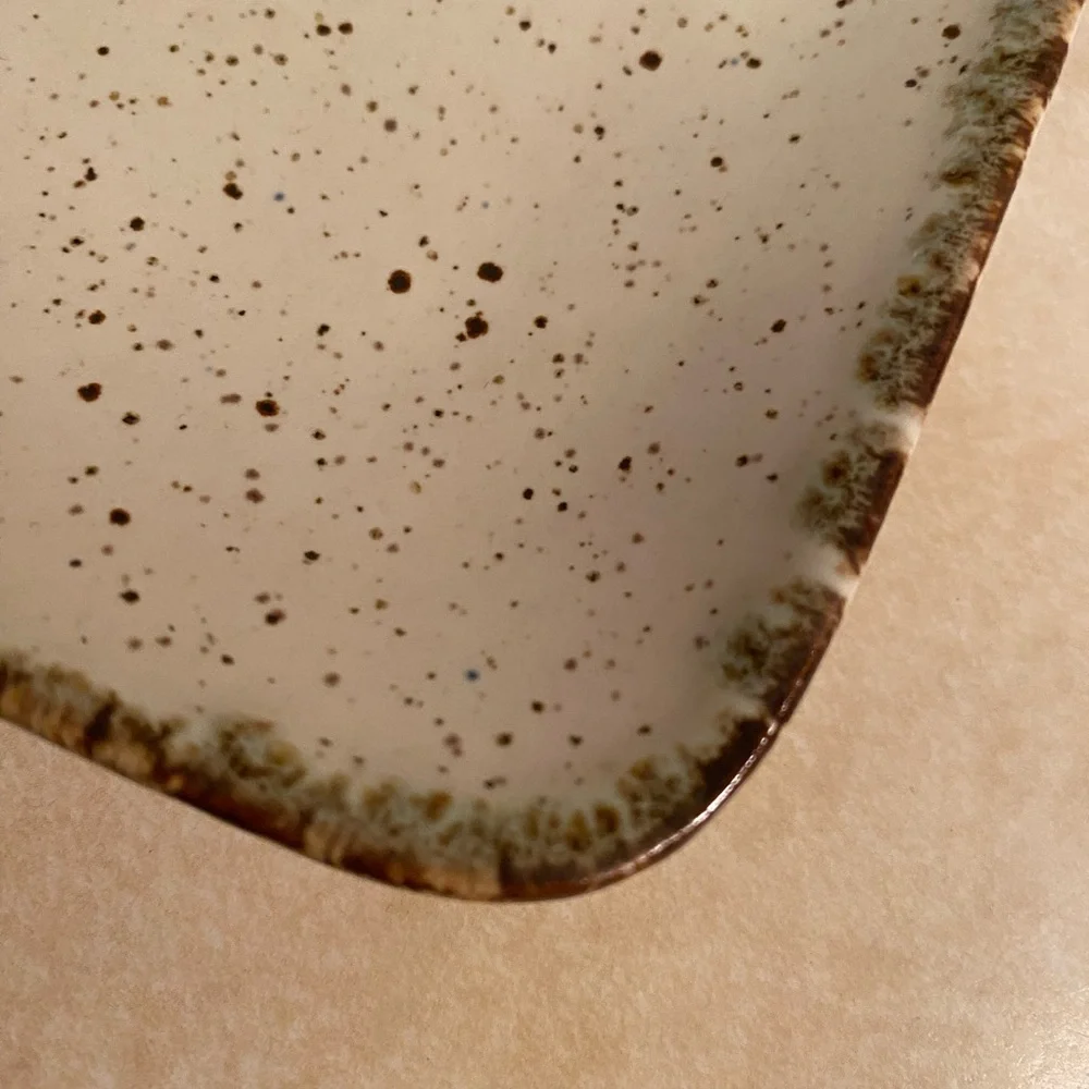Casafina for Pottery Barn Stoneware Soap Dish